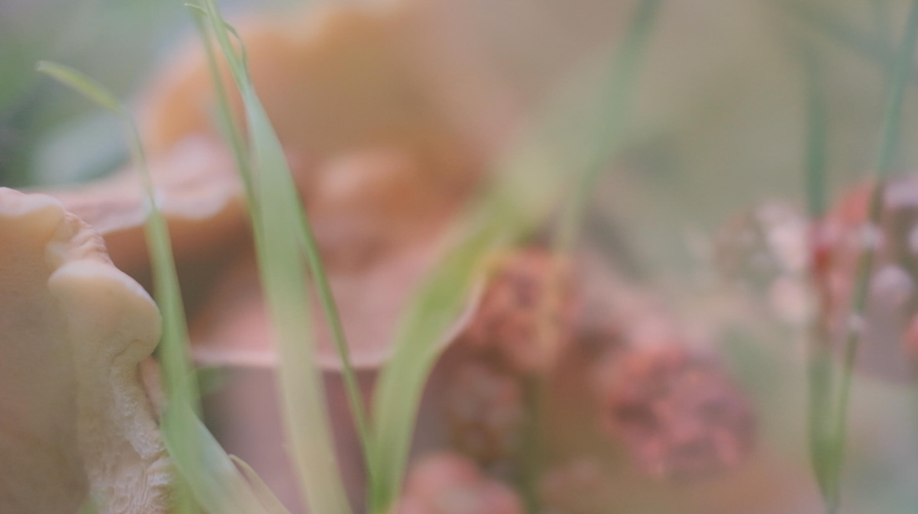 Still from Caol Áit, digital video, 2026